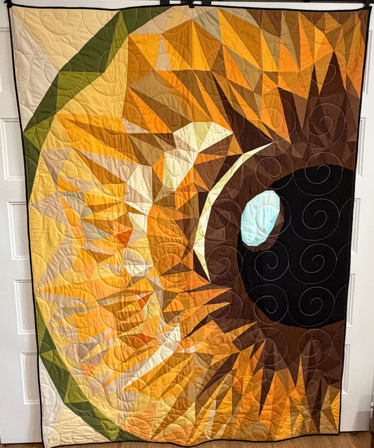 Eyeball Quilt